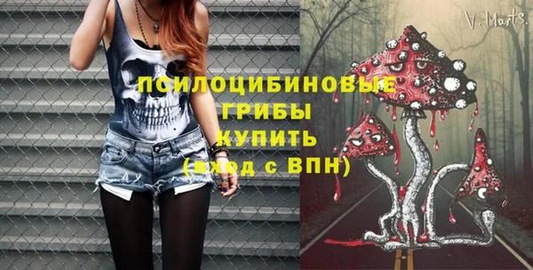 герыч Новозыбков