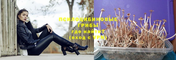 хмурый Новодвинск