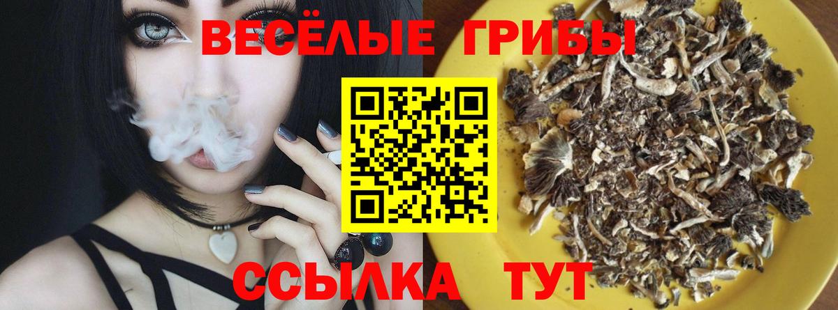Ульяновск  Псилоцибиновые грибы Psilocybine cubensis  Вход с VPN 